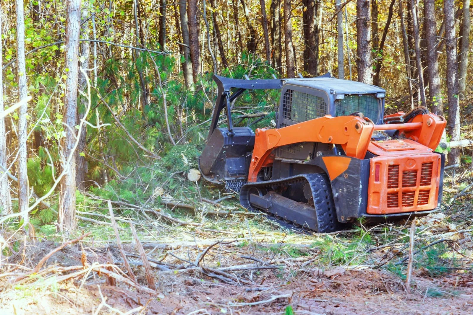 Tracked skid-steer clearing brush and small trees from a wooded lot