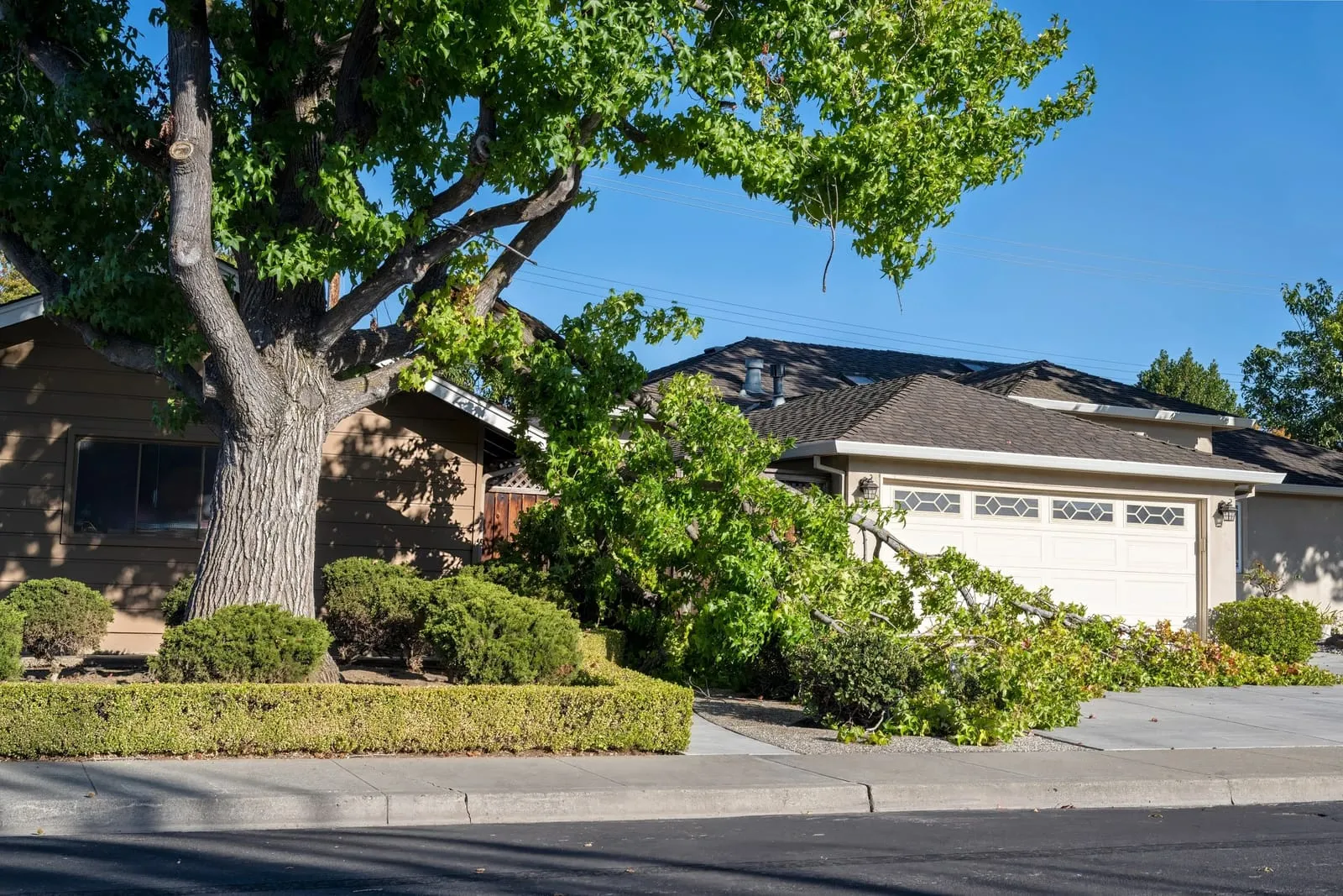 Storm-snapped tree limbs resting against the roof and driveway of a house